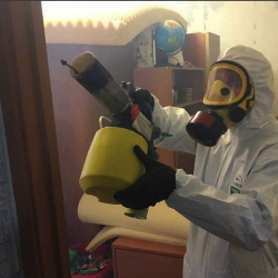 Уничтожение клопов в квартире. Новослободская